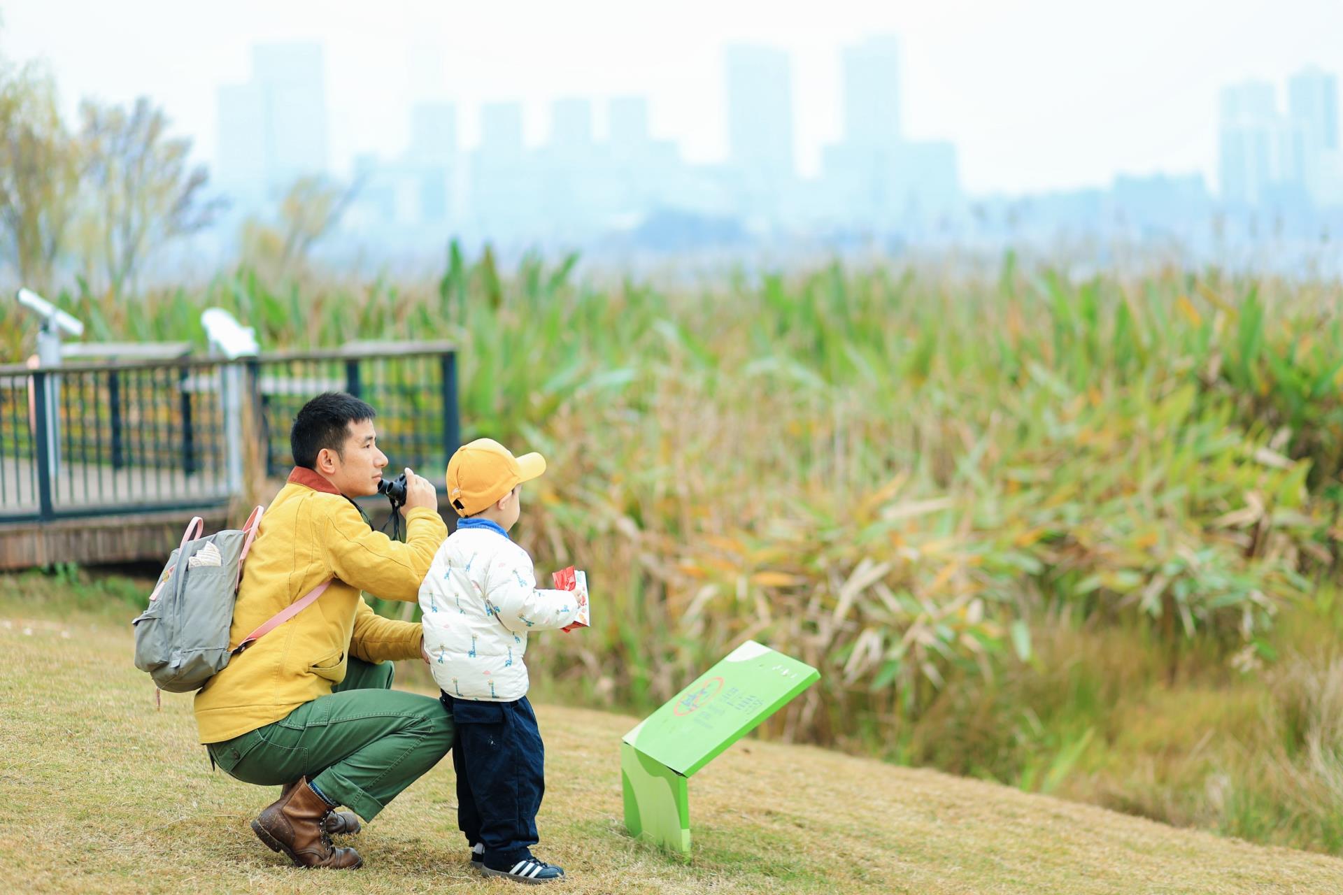 ����18(�й���)�ٷ���վ