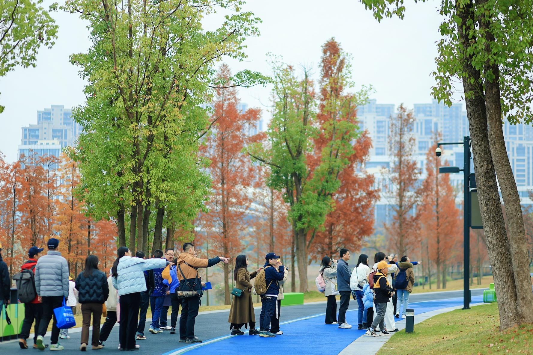 ����18(�й���)�ٷ���վ